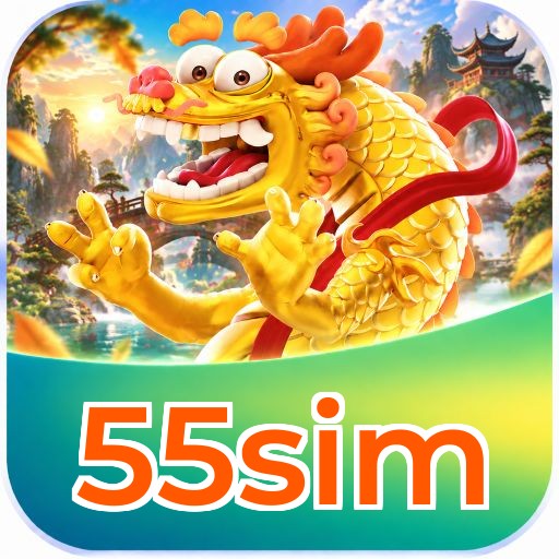 55sim FAQ